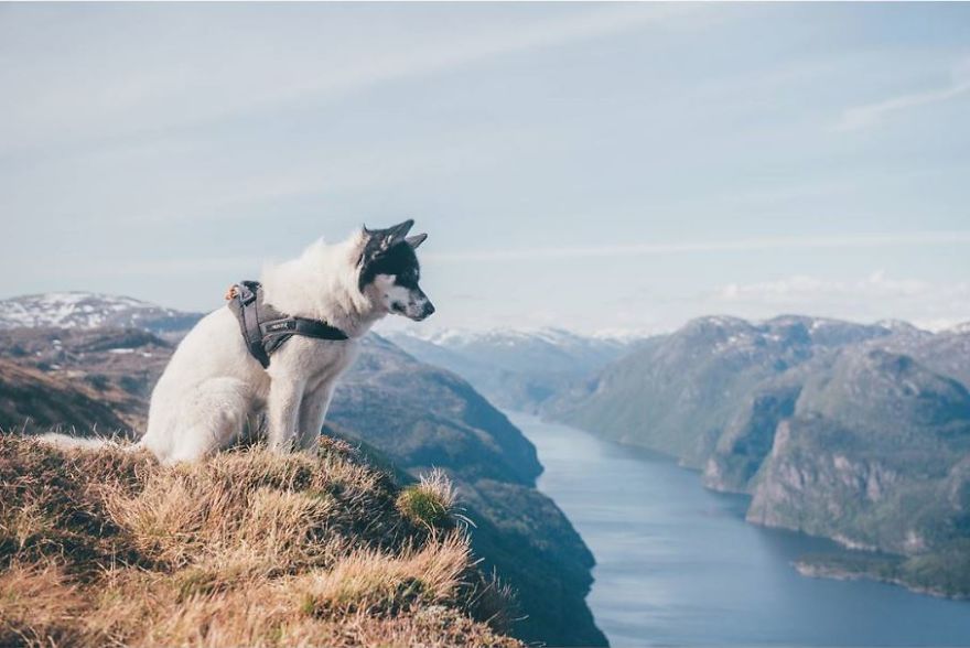 I Quit My Job To Go On Adventures With My Husky (Part 2)