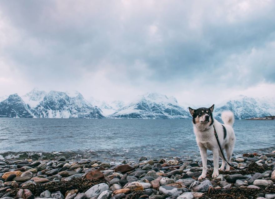 I Quit My Job To Go On Adventures With My Husky (Part 2)