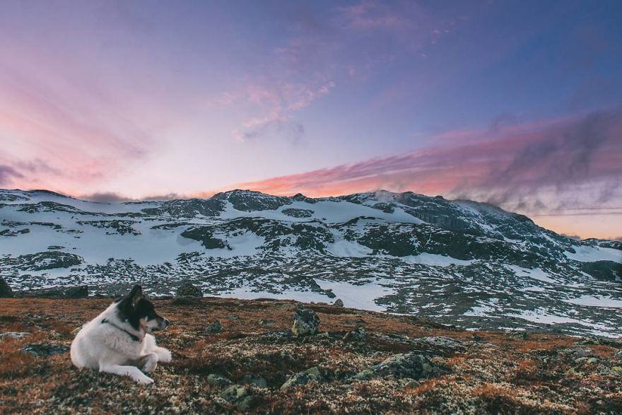 I Quit My Job To Go On Adventures With My Husky (Part 2)