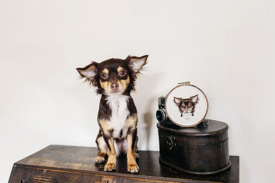 I Transform Pets Into Hand-Embroidered Portraits