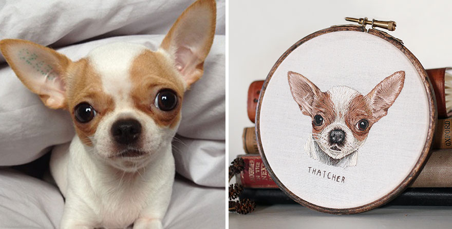 I Transform Pets Into Hand-Embroidered Portraits I Transform Pets Into Hand-Embroidered Portraits