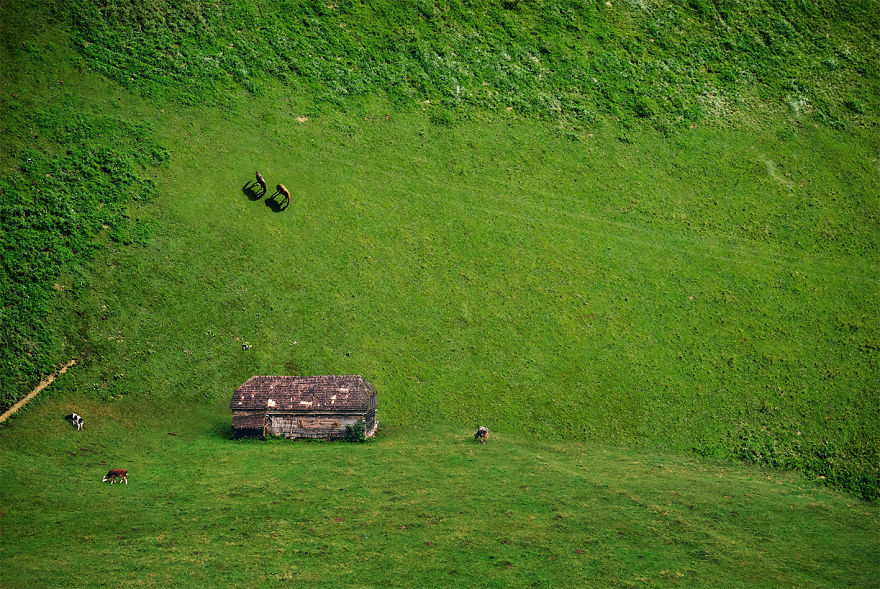 I Challenge Reality To Make Dreams Come True I Challenge Reality To Make Dreams Come True