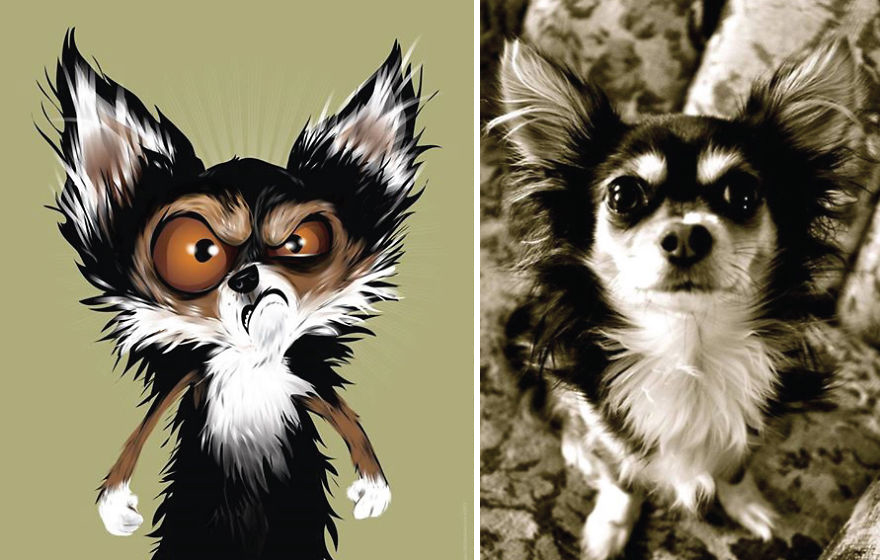 I Draw Pet Portraits Inspired By How Their Owners Describe Them