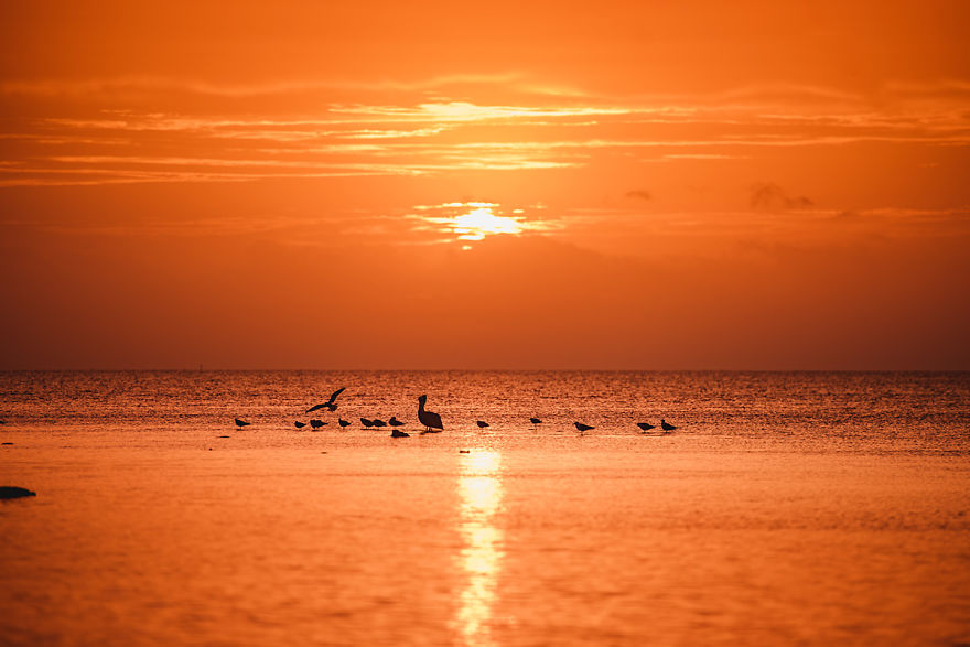 I Sold Everything, Bought An Airstream And Travel America With My Family Indefinitely I Sold Everything, Bought An Airstream And Travel America With My Family Indefinitely