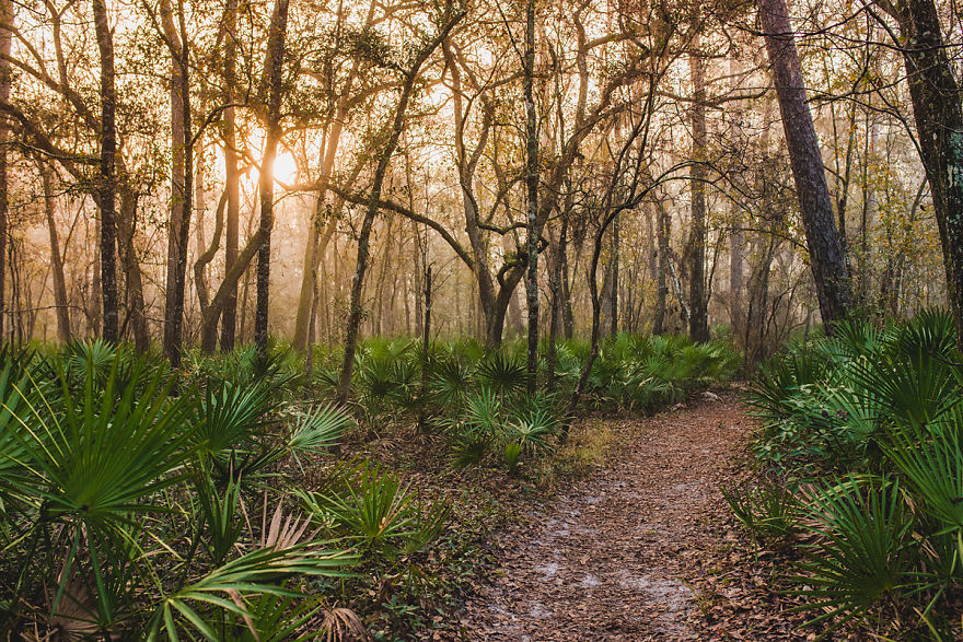 I Sold Everything, Bought An Airstream And Travel America With My Family Indefinitely I Sold Everything, Bought An Airstream And Travel America With My Family Indefinitely