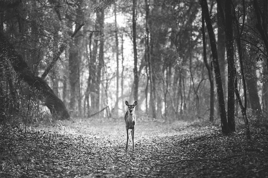 I Sold Everything, Bought An Airstream And Travel America With My Family Indefinitely I Sold Everything, Bought An Airstream And Travel America With My Family Indefinitely