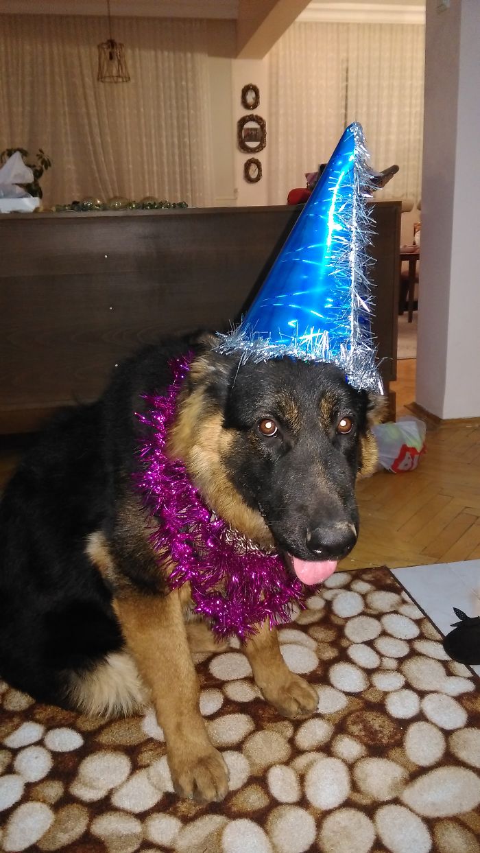 Atlas On His 1st Birthday