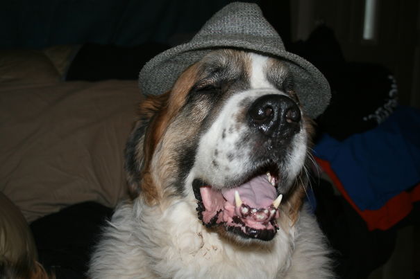 And Then He Said........