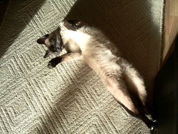 Mia In The Sun... :)