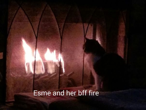 Esmeralda And Her Best Friend Fire