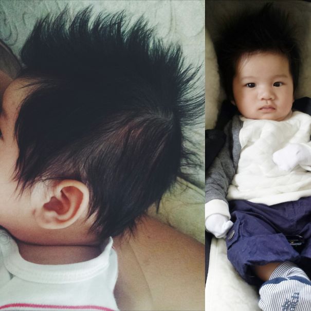 Only 11 Weeks Old And His Hair Is Perfectly-styled Everyday. No Hair Products Required.