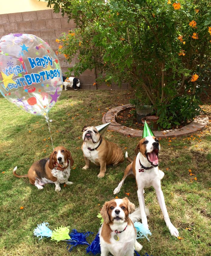 Best Birthday Party Ever With A Few Of My Close Friends!!! @calaiscampbellthepuppy