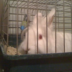 georgia-nikolaidi04 avatar