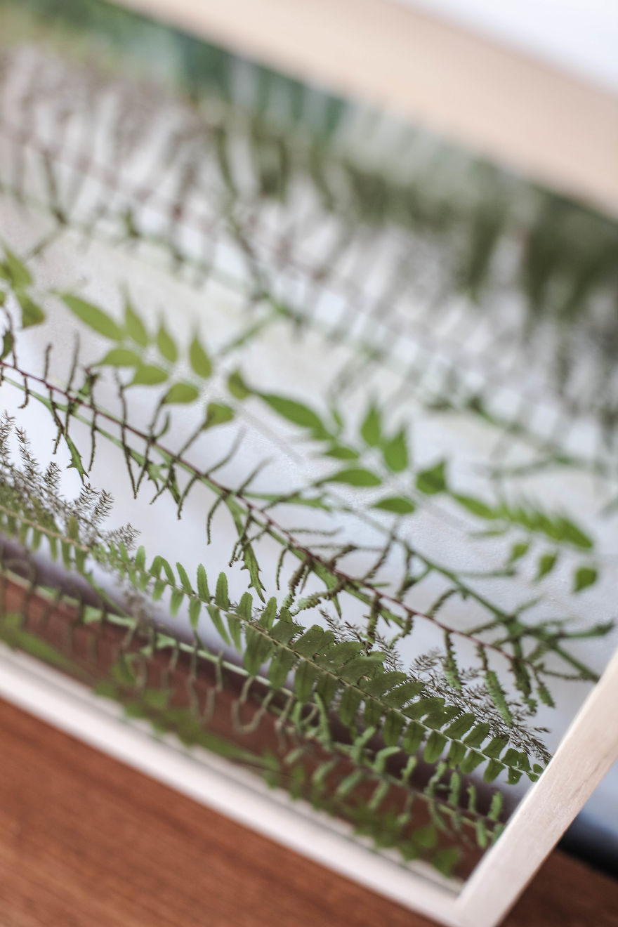 I Create Art From Dried Leaves And Flowers I Create Art From Dried Leaves And Flowers