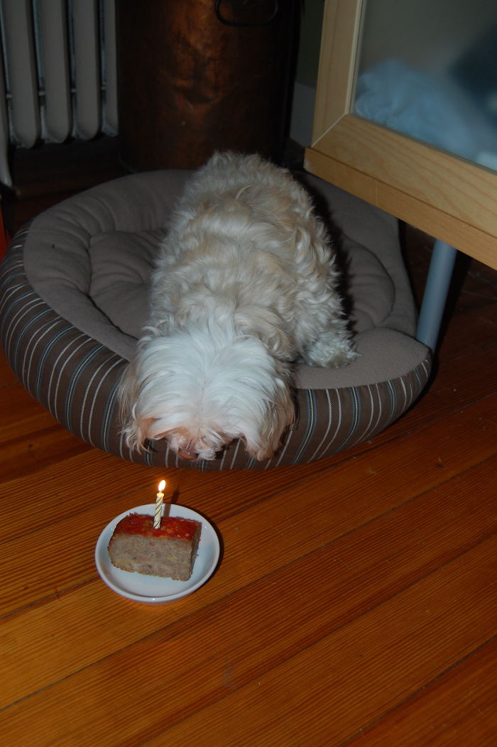 Meatloaf Cake For Lily's Birthday!
