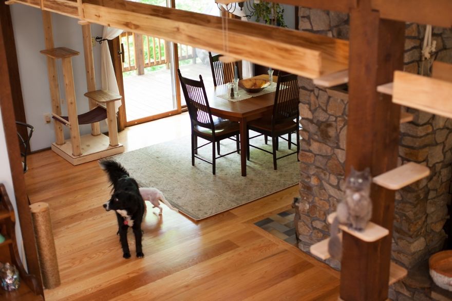 I 'Catified' My Friends' House For Their 7 Cats I 'Catified' My Friends' House For Their 7 Cats