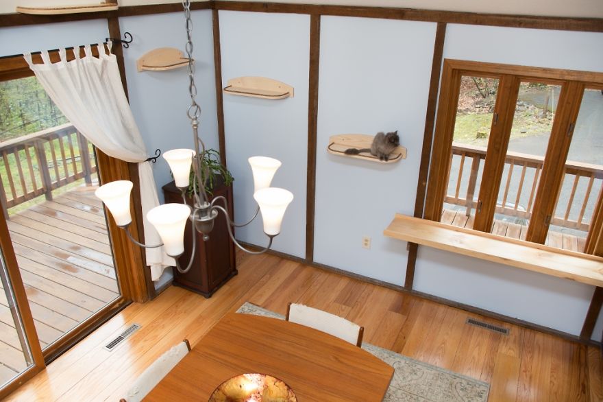 I 'Catified' My Friends' House For Their 7 Cats I 'Catified' My Friends' House For Their 7 Cats