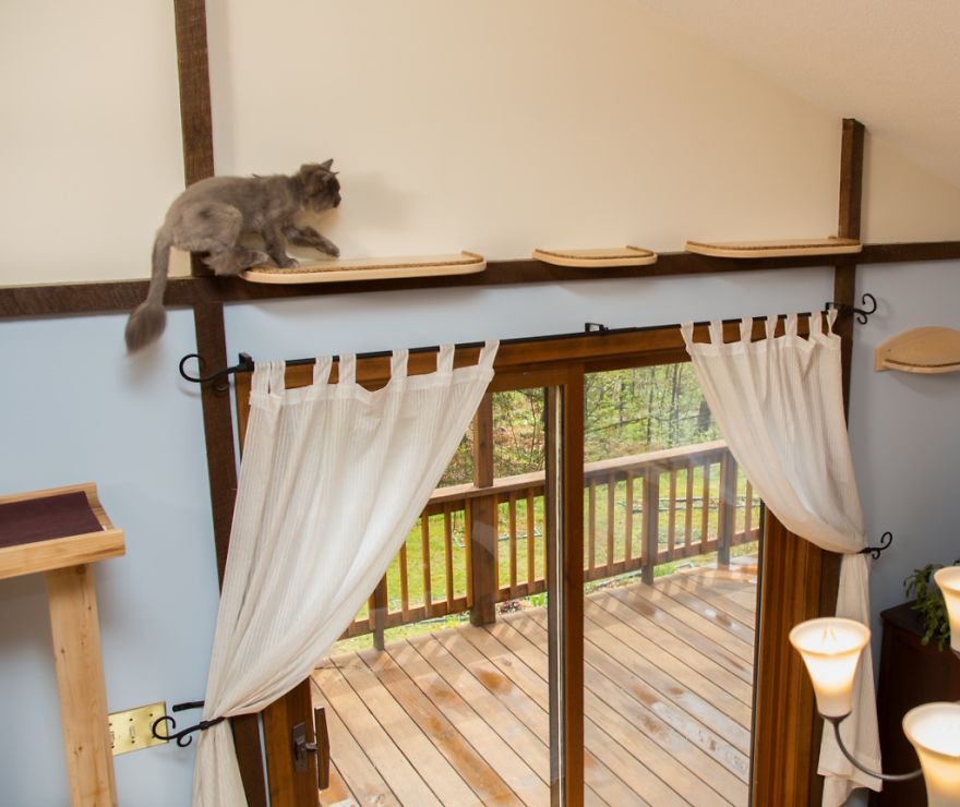 I 'Catified' My Friends' House For Their 7 Cats I 'Catified' My Friends' House For Their 7 Cats