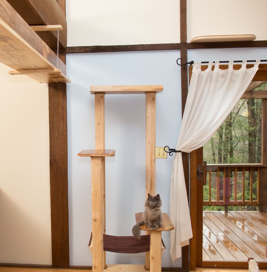 I 'Catified' My Friends' House For Their 7 Cats I 'Catified' My Friends' House For Their 7 Cats