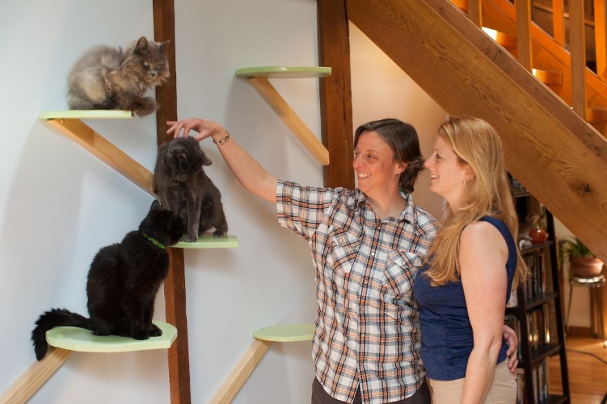 I 'Catified' My Friends' House For Their 7 Cats I 'Catified' My Friends' House For Their 7 Cats