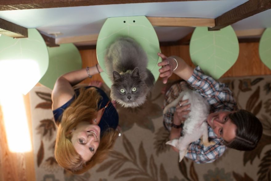 I 'Catified' My Friends' House For Their 7 Cats I 'Catified' My Friends' House For Their 7 Cats