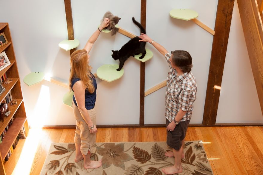 I 'Catified' My Friends' House For Their 7 Cats I 'Catified' My Friends' House For Their 7 Cats