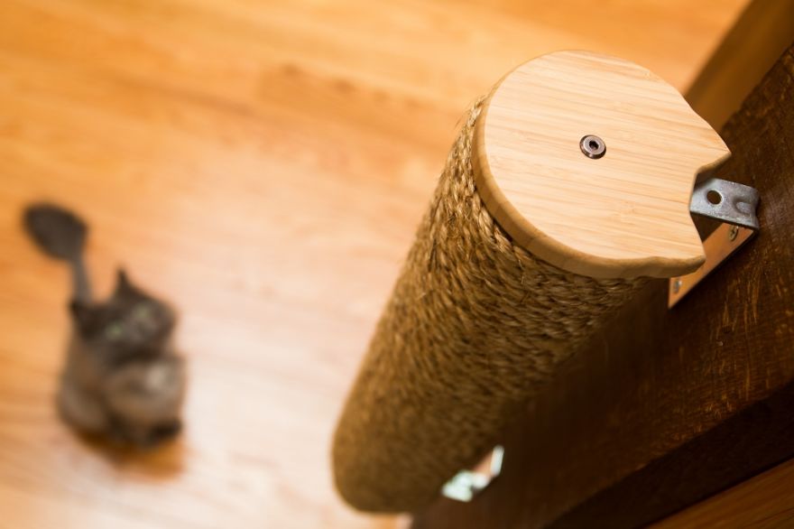 I 'Catified' My Friends' House For Their 7 Cats I 'Catified' My Friends' House For Their 7 Cats