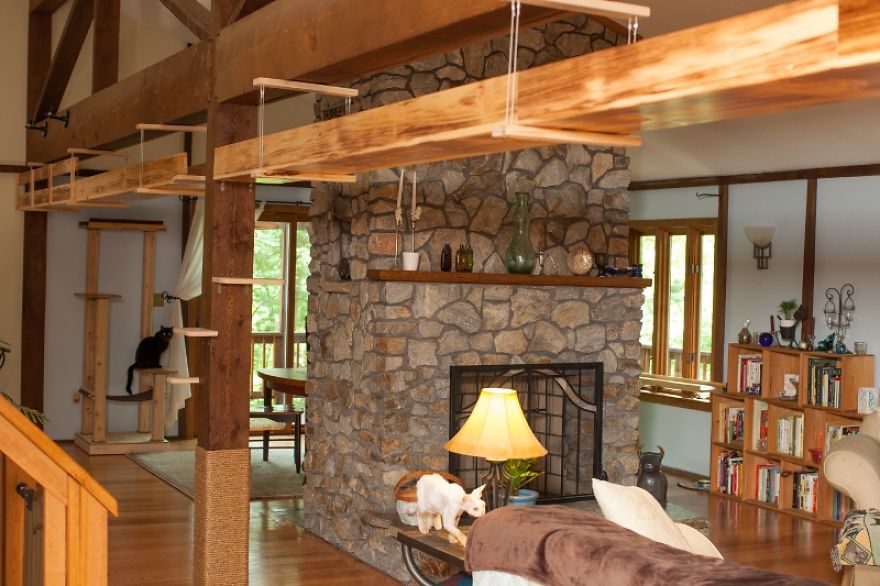 I 'Catified' My Friends' House For Their 7 Cats I 'Catified' My Friends' House For Their 7 Cats