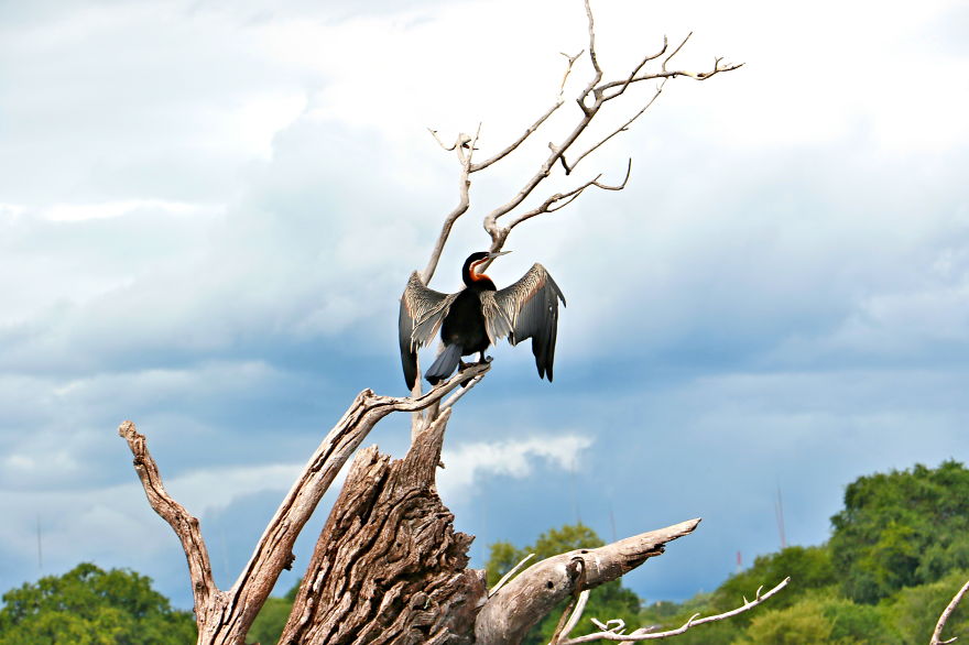 I Documented Daily Lives Of African Tribes For Four Months I Documented Daily Lives Of African Tribes For Four Months