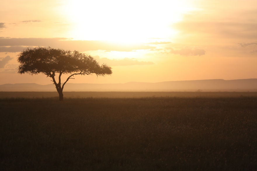 The Serengeti, Tanzania