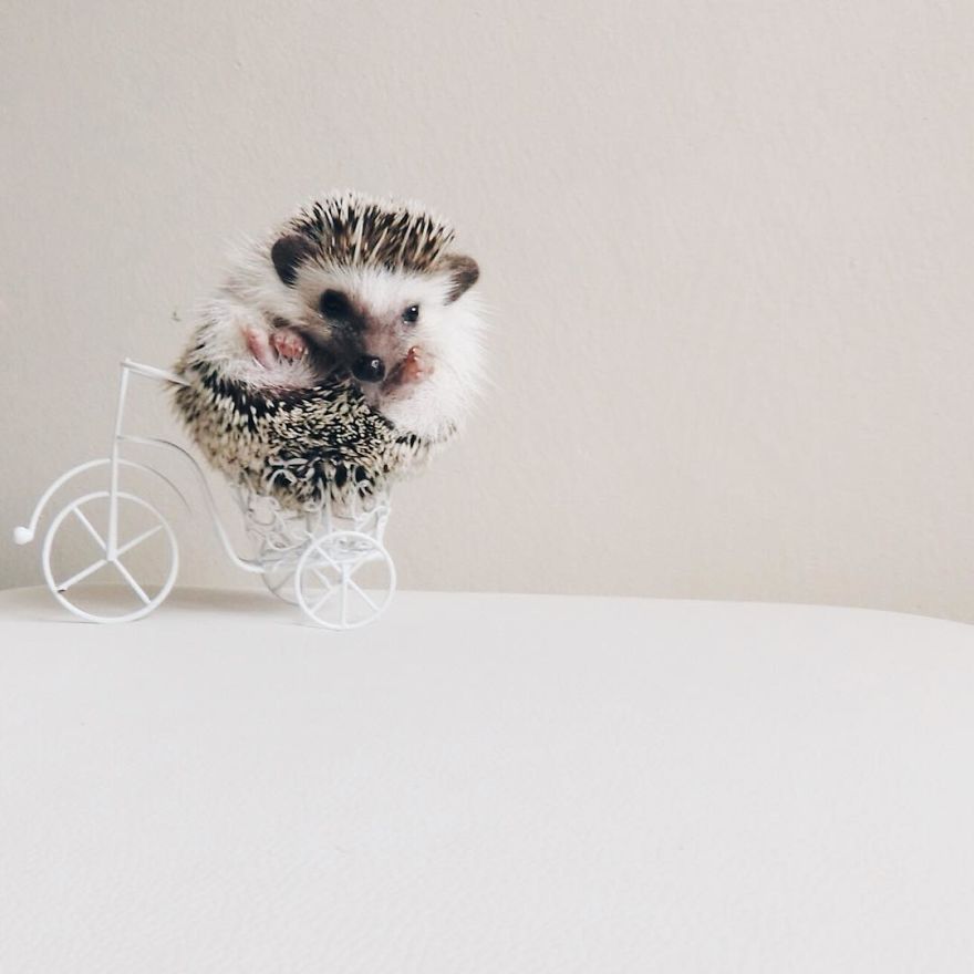 My Life Has Changed Ever Since I Met My Dad My Life Has Changed Ever Since I Met My Dad