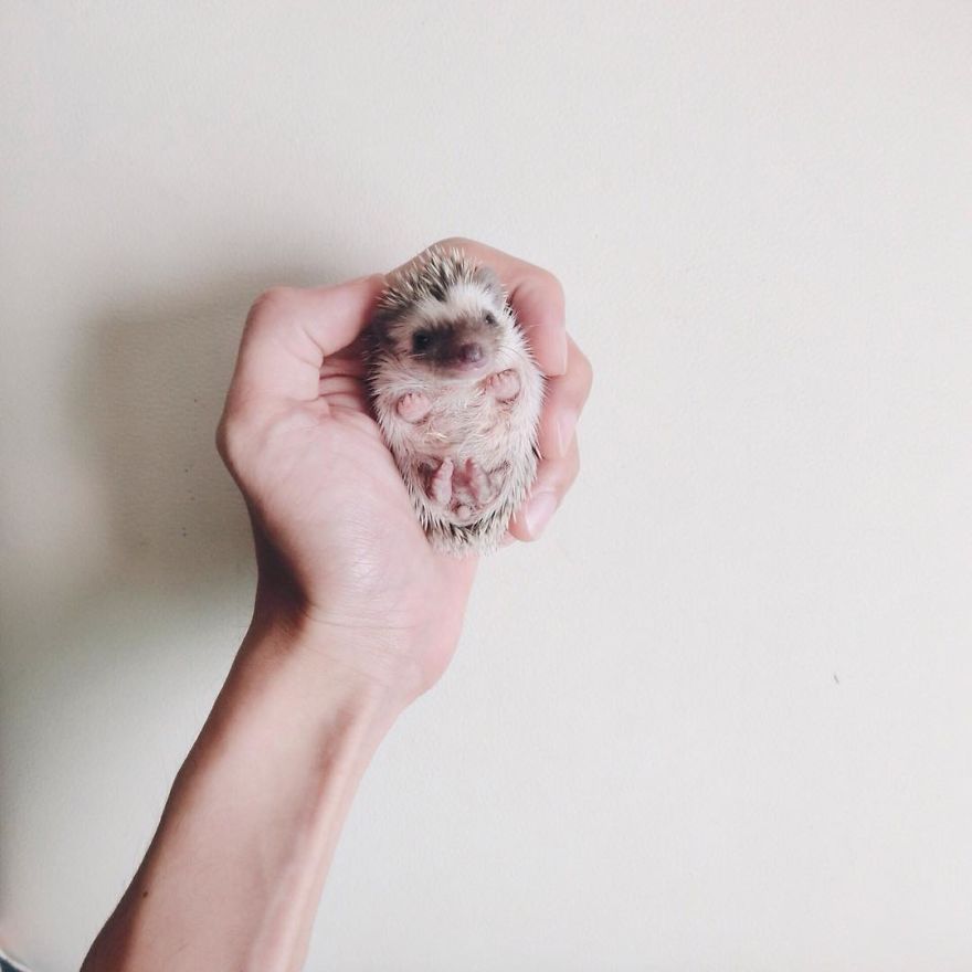 My Life Has Changed Ever Since I Met My Dad My Life Has Changed Ever Since I Met My Dad