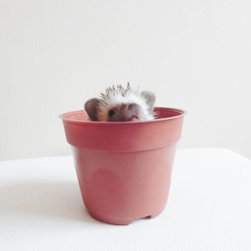 My Life Has Changed Ever Since I Met My Dad