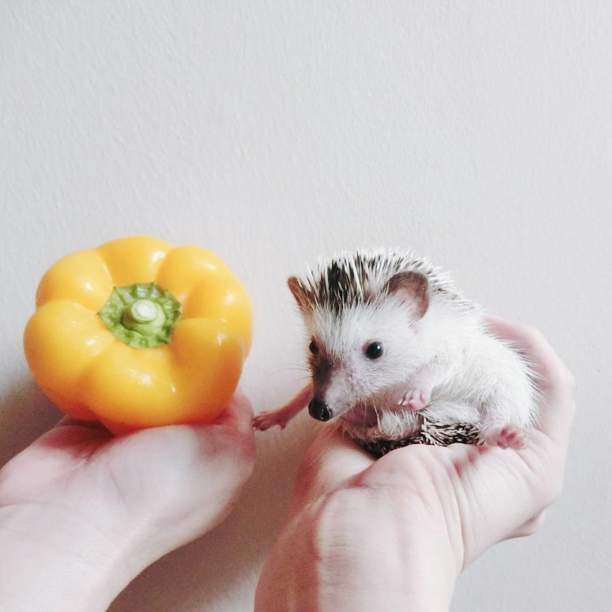 My Life Has Changed Ever Since I Met My Dad My Life Has Changed Ever Since I Met My Dad