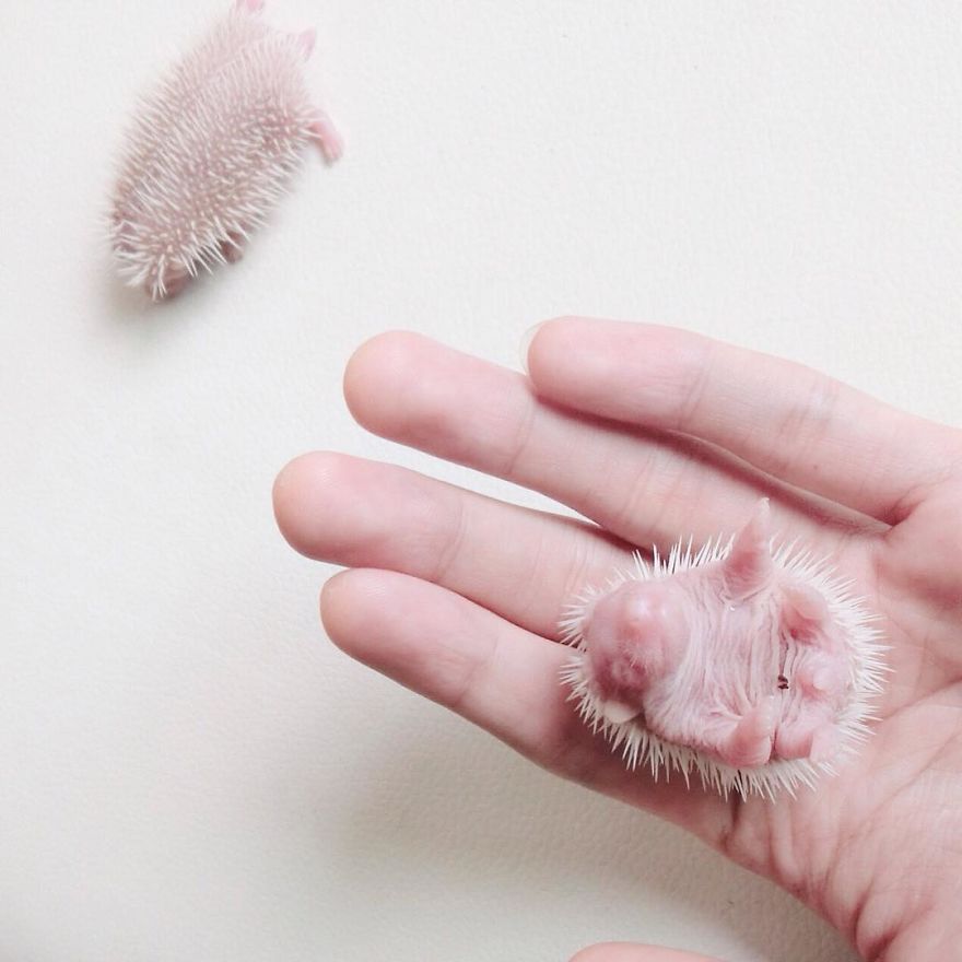 My Life Has Changed Ever Since I Met My Dad