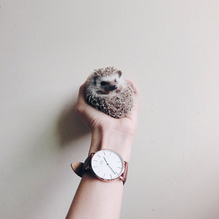 My Life Has Changed Ever Since I Met My Dad My Life Has Changed Ever Since I Met My Dad