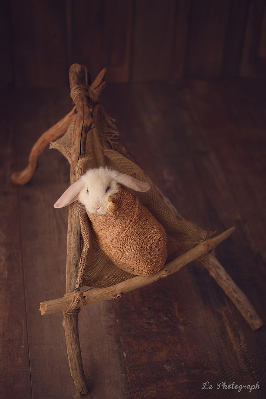 Newborn Session... With A Bunny! Newborn Session... With A Bunny!