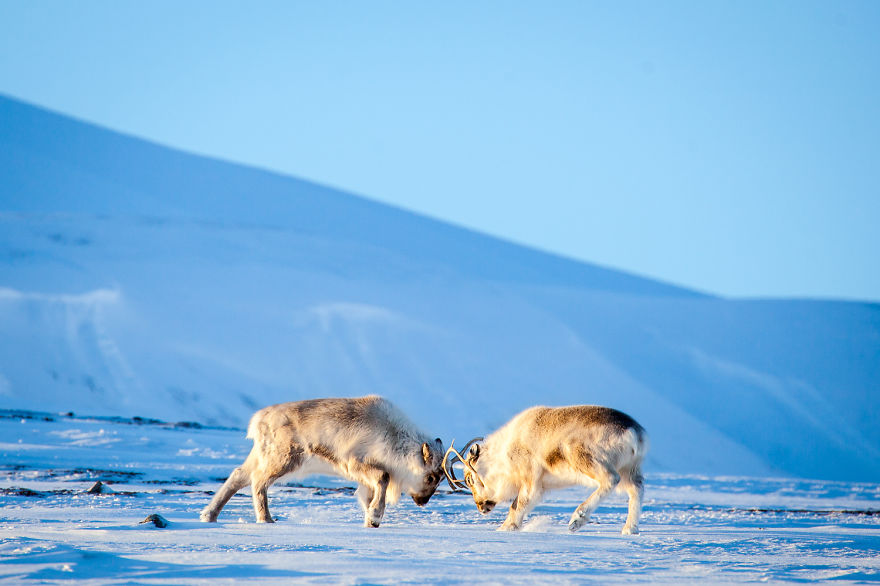A Homage To The North Of Norway