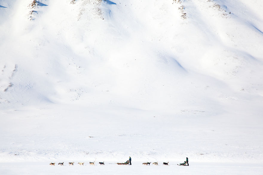 A Homage To The North Of Norway A Homage To The North Of Norway