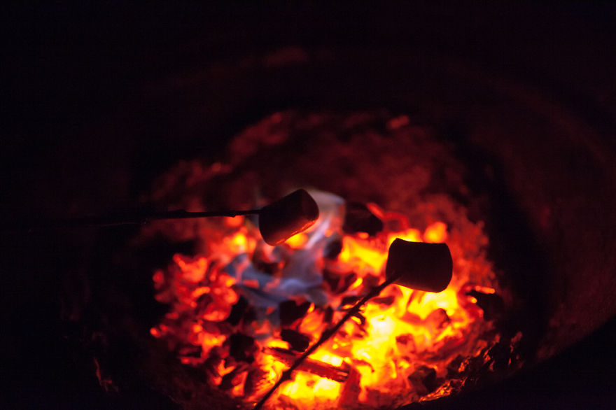 A Homage To The North Of Norway