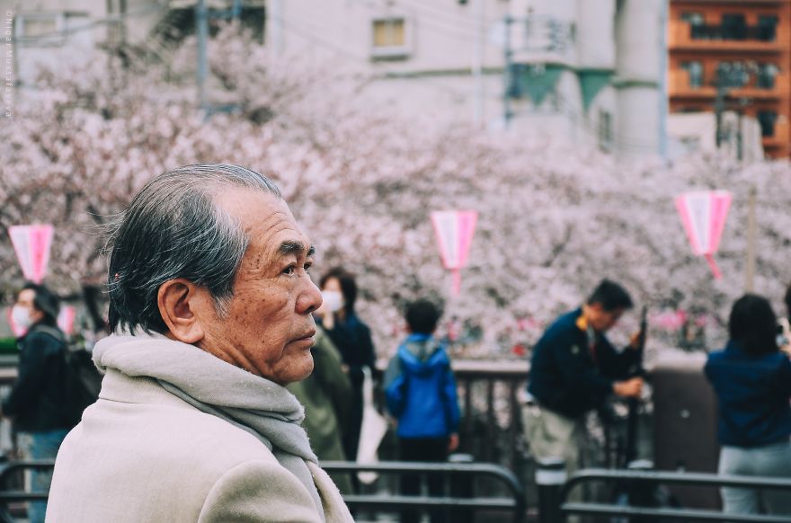 I Was Lucky To Capture The People Of Tokyo In The Boom Of Cherry Trees Blossoming I Was Lucky To Capture The People Of Tokyo In The Boom Of Cherry Trees Blossoming