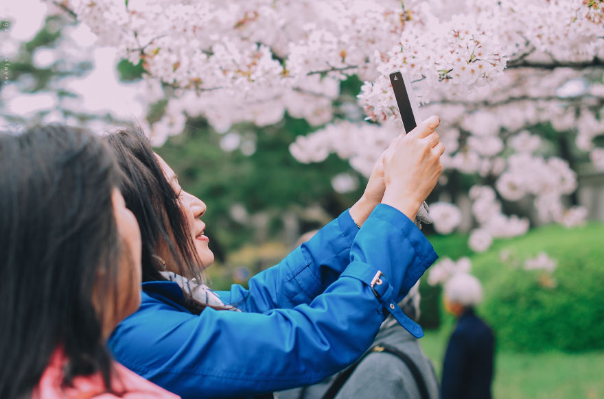 I Was Lucky To Capture The People Of Tokyo In The Boom Of Cherry Trees Blossoming I Was Lucky To Capture The People Of Tokyo In The Boom Of Cherry Trees Blossoming