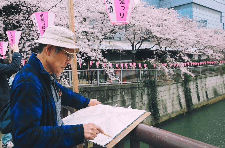 I Was Lucky To Capture The People Of Tokyo In The Boom Of Cherry Trees Blossoming I Was Lucky To Capture The People Of Tokyo In The Boom Of Cherry Trees Blossoming