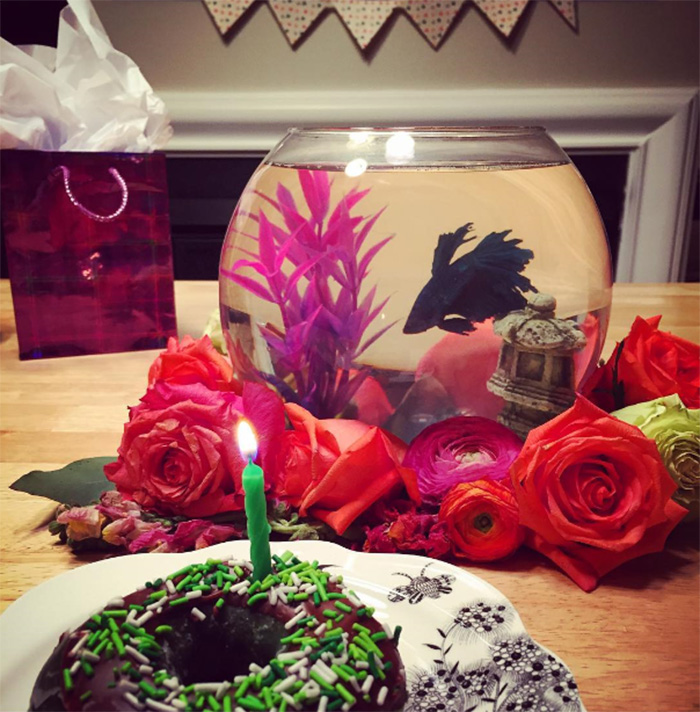 Happy 1st Birthday Rupert