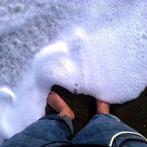 susanacampameneses avatar