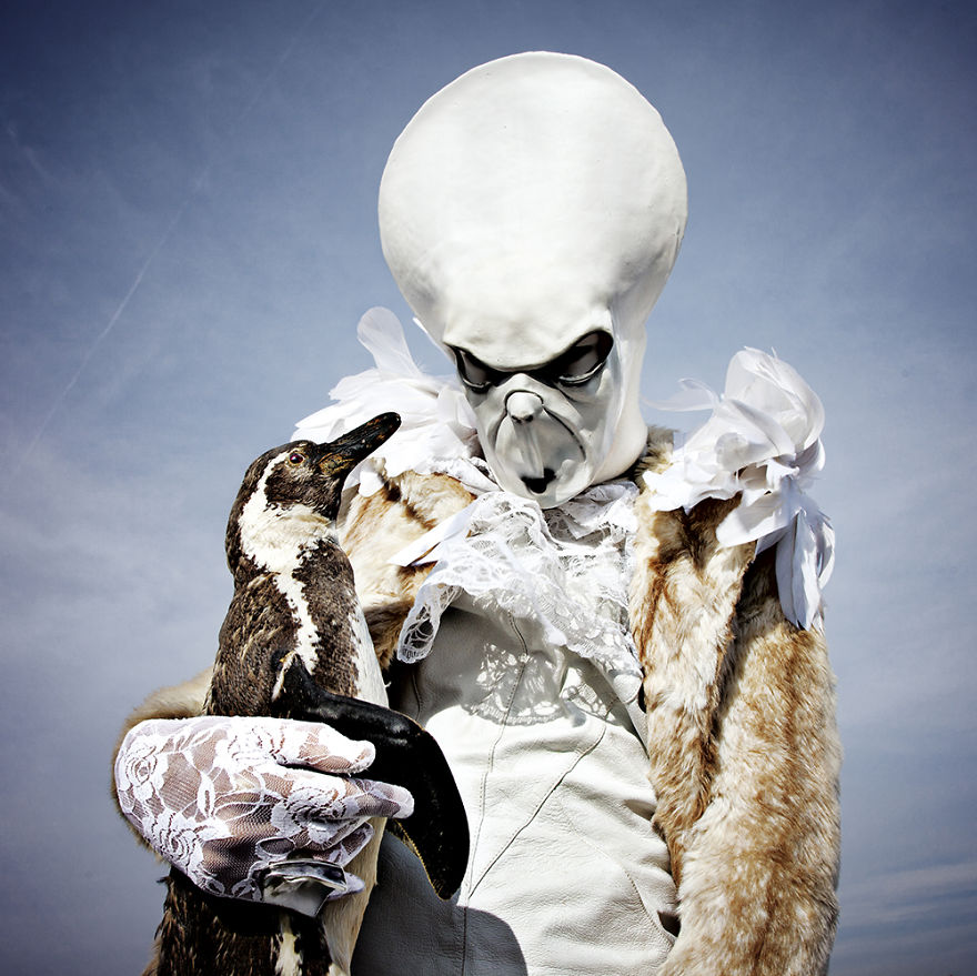 Post-Mortem Fairy Tales Featuring Dead Animals As Fantasy Characters (part 4)