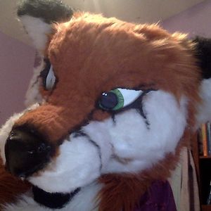 madelinebarone avatar