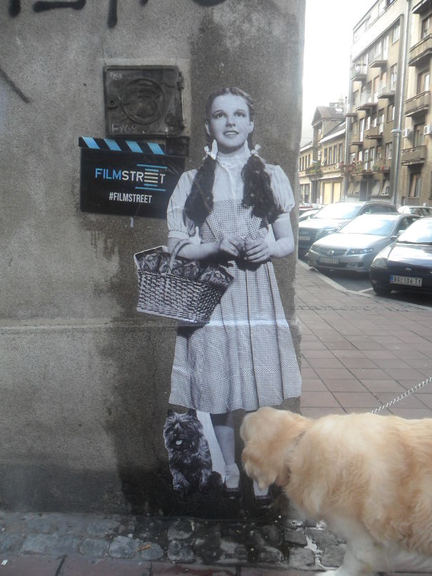 Love At First Sight In Belgrade, Serbia.