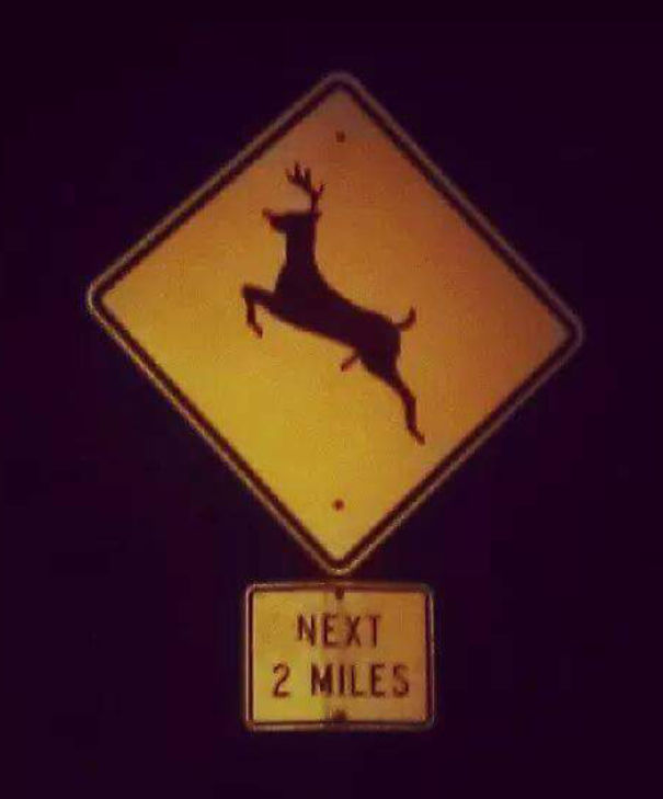 Rudolph Has A Surprise For Donner And Blitzen