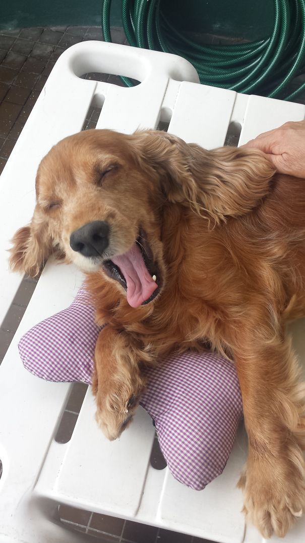 Be Happy & Smile :) #tobyfmsingapore